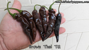 Brown Thai TQ - Pepper Seeds - White Hot Peppers