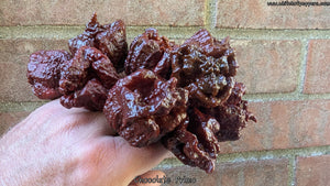 Chocolate Primo - Pepper Seeds - White Hot Peppers