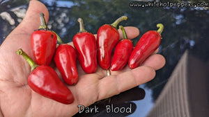 Dark Blood - Pepper Seeds - White Hot Peppers