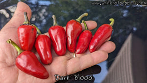 Dark Blood - Pepper Seeds - White Hot Peppers