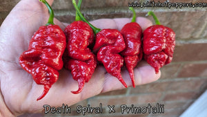 Death Spiral x Primotalii - Pepper Seeds - White Hot Peppers