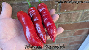 Jalapeño Chernobyl - Pepper Seeds - White Hot Peppers