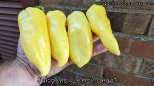 Jalapeño Lemon Giant - Pepper Seeds - White Hot Peppers