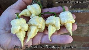 Jay's x Pink x Reaper Lemon - Pepper Seeds - White Hot Peppers