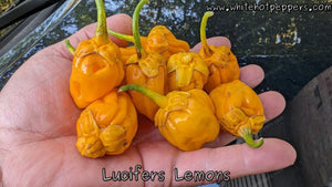 Lucifer's Lemons - Pepper Seeds - White Hot Peppers