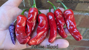 Pickle's Blood - Pepper Seeds - White Hot Peppers