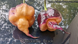 Pockmark Peach - Pepper Seeds - White Hot Peppers