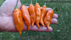 Sugar Drop Orange - Pepper Seeds - White Hot Peppers