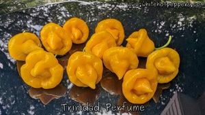 Trinidad Perfume - Pepper Seeds - White Hot Peppers