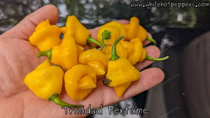 Trinidad Perfume - Pepper Seeds - White Hot Peppers