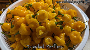 Trinidad Perfume - Pepper Seeds - White Hot Peppers