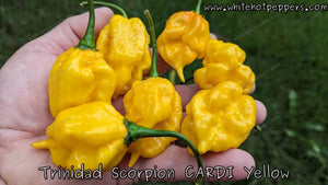 Trinidad Scorpion CARDI Yellow - Pepper Seeds - White Hot Peppers