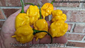 Trinidad Scorpion CARDI Yellow - Pepper Seeds - White Hot Peppers