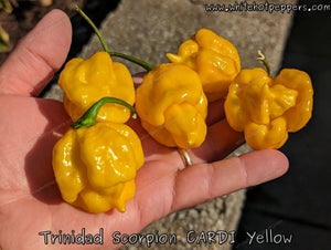 Trinidad Scorpion CARDI Yellow - Pepper Seeds - White Hot Peppers