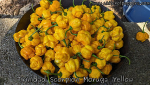 Trinidad Scorpion Moruga Yellow - Pepper Seeds - White Hot Peppers