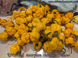 Trinidad Scorpion Moruga Yellow - Pepper Seeds - White Hot Peppers