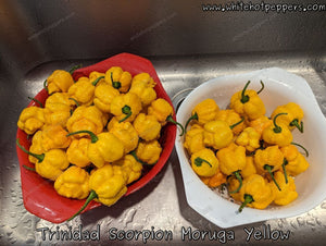 Trinidad Scorpion Moruga Yellow - Pepper Seeds - White Hot Peppers