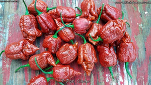 7 Pot Cinder - Pepper Seeds - White Hot Peppers