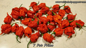 7 Pot Primo - Pepper Seeds - White Hot Peppers