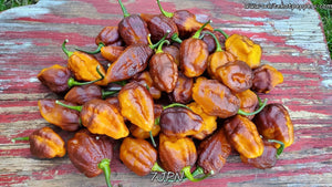 7JPN - Pepper Seeds - White Hot Peppers