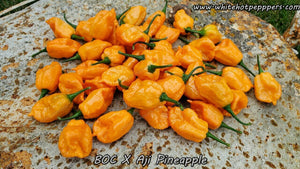 BOC x Aji Pineapple - Pepper Seeds - White Hot Peppers