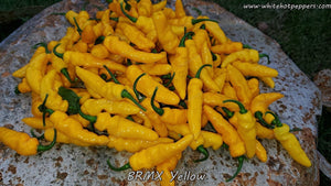 BRMX Yellow - Pepper Seeds - White Hot Peppers