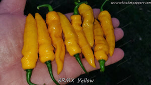 BRMX Yellow - Pepper Seeds - White Hot Peppers