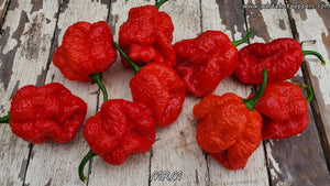 Moruga Red Monster (MRM) - Pepper Seeds - White Hot Peppers