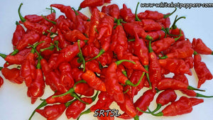 SRTSL - Pepper Seeds - White Hot Peppers