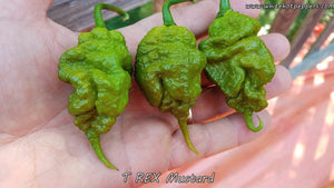 T-REX Mustard - Pepper Seeds - White Hot Peppers