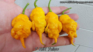 T-REX Yellow - Pepper Seeds - White Hot Peppers