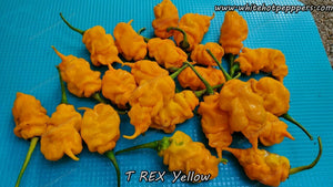 T-REX Yellow - Pepper Seeds - White Hot Peppers