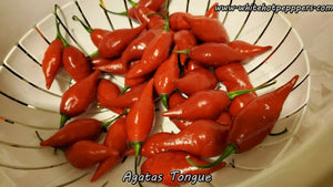 Agata's Tongue (Big Chupe) - Pepper Seeds - White Hot Peppers