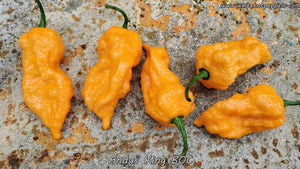 Andy's King BOC - Pepper Seeds - White Hot Peppers