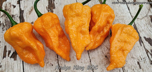 Andy's King BOC - Pepper Seeds - White Hot Peppers