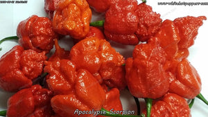 Apocalypse Scorpion - Pepper Seeds - White Hot Peppers