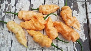 Bhut Jolokia (Ghost) Peach WM - Pepper Seeds - White Hot Peppers