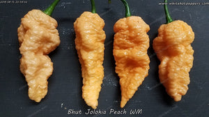 Bhut Jolokia (Ghost) Peach WM - Pepper Seeds - White Hot Peppers