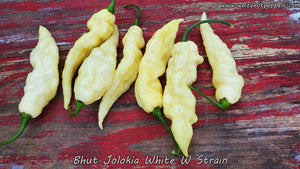 Bhut Jolokia (Ghost) White W Strain - Pepper Seeds - White Hot Peppers