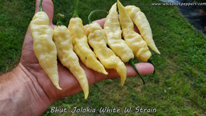 Bhut Jolokia (Ghost) White W Strain - Pepper Seeds - White Hot Peppers