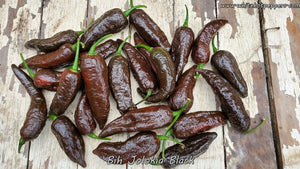 Bih Jolokia Black - Pepper Seeds - White Hot Peppers
