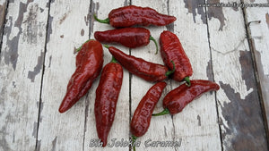 Bih Jolokia Caramel - Pepper Seeds - White Hot Peppers