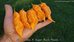 Bih Jolokia x Sugar Rush Peach - Pepper Seeds - White Hot Peppers