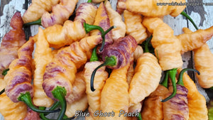 Blue Ghost (Peach) - Pepper Seeds - White Hot Peppers