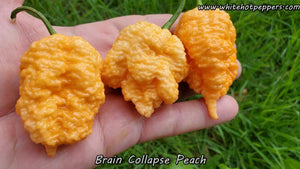 Brain Collapse Peach - Pepper Seeds - White Hot Peppers