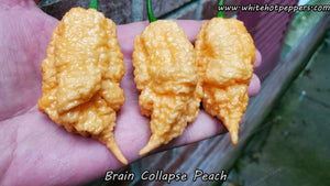 Brain Collapse Peach - Pepper Seeds - White Hot Peppers