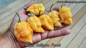 Brain Collapse Peach - Pepper Seeds - White Hot Peppers