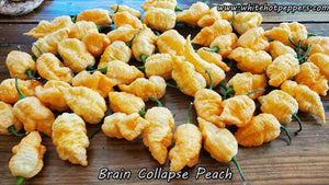 Brain Collapse Peach - Pepper Seeds - White Hot Peppers