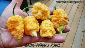 Brain Collapse Peach - Pepper Seeds - White Hot Peppers