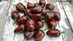 Brown Egg - Pepper Seeds - White Hot Peppers